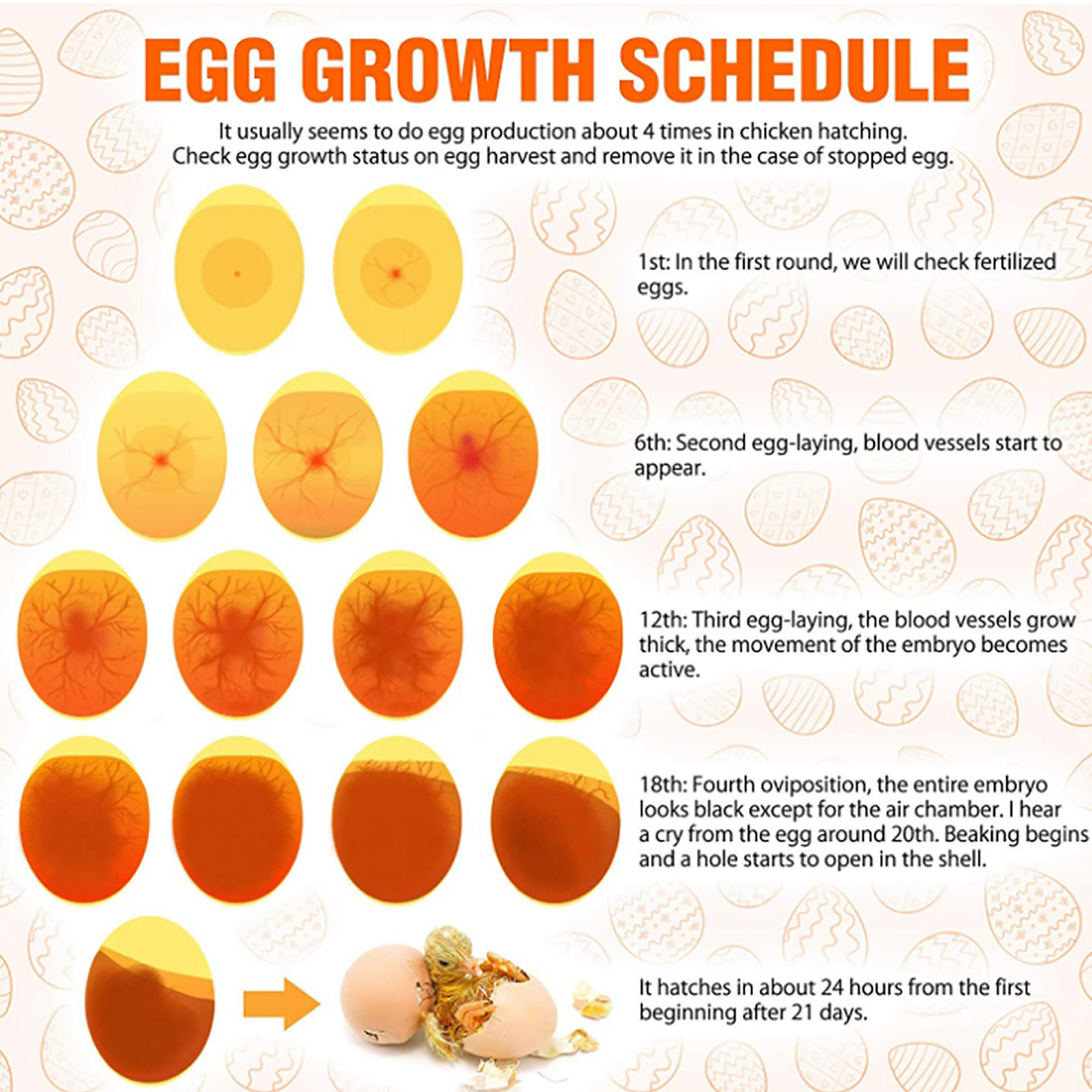 Bright Cool LED Light Egg Candler Tester Egg Candling Lamp Growth Inspection EU Plug 100-240V