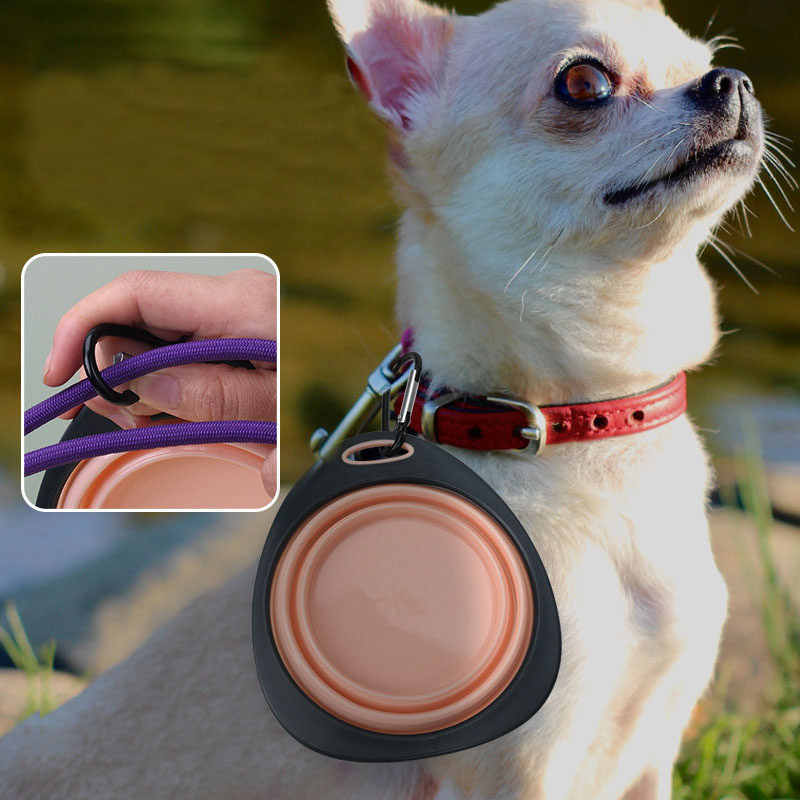 Dog Bowl Pet Collapsible Bowls for Cats Dogs Portable Pet Feeding Watering Dish for Walking Parking Traveling
