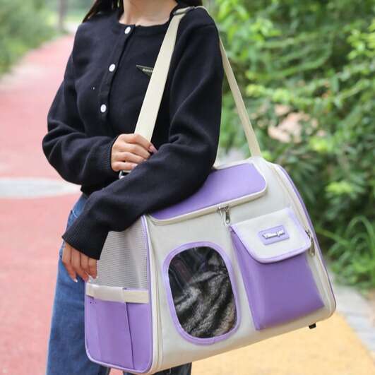 Large Capacity Cat Bag with Cartoon Design - Portable One-Shoulder Diagonal Cross Backpack for Outdoor Use