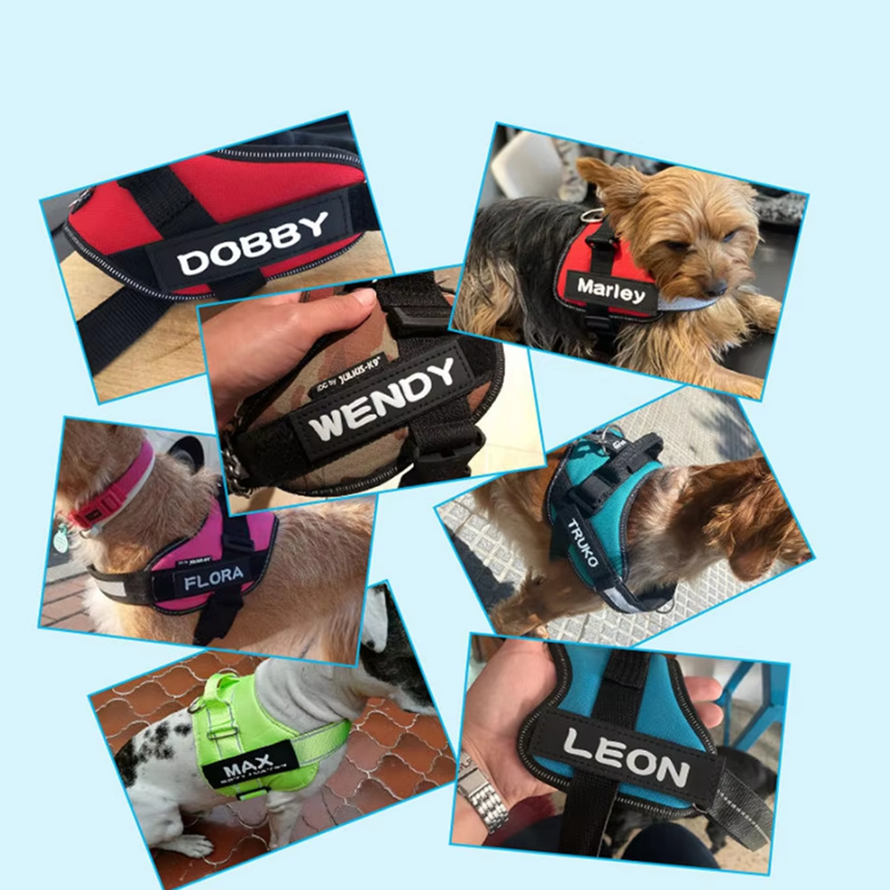 Custom Name Text Patch Stripes Badge for Dog Collar Personalized Dog Collar Tags Backpack Jacket Badge Harness Labels