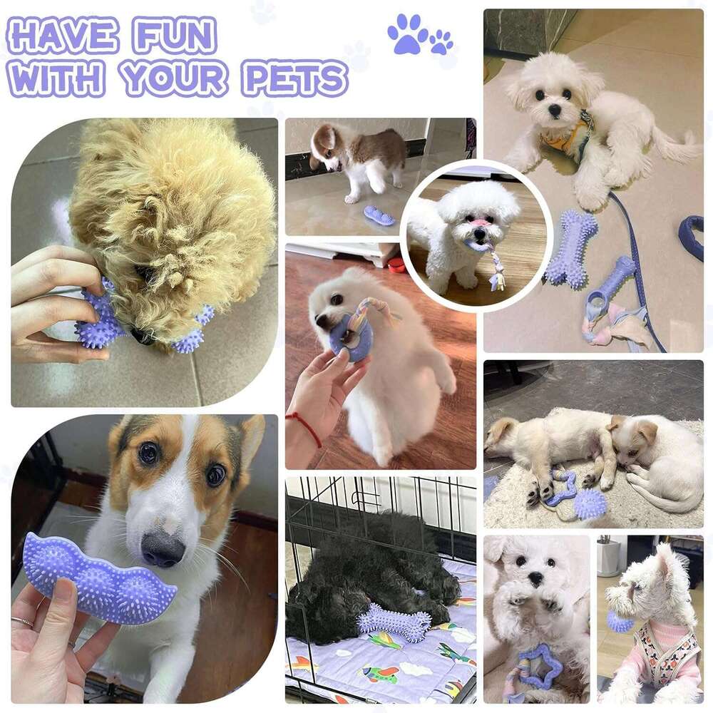 Petcare 6 Pack Cute Purple Chew Toys for Puppies 0-6 Months, Soft Rubber Rope Dog Teething Best Small Toys, Puppy Essentials Supplies