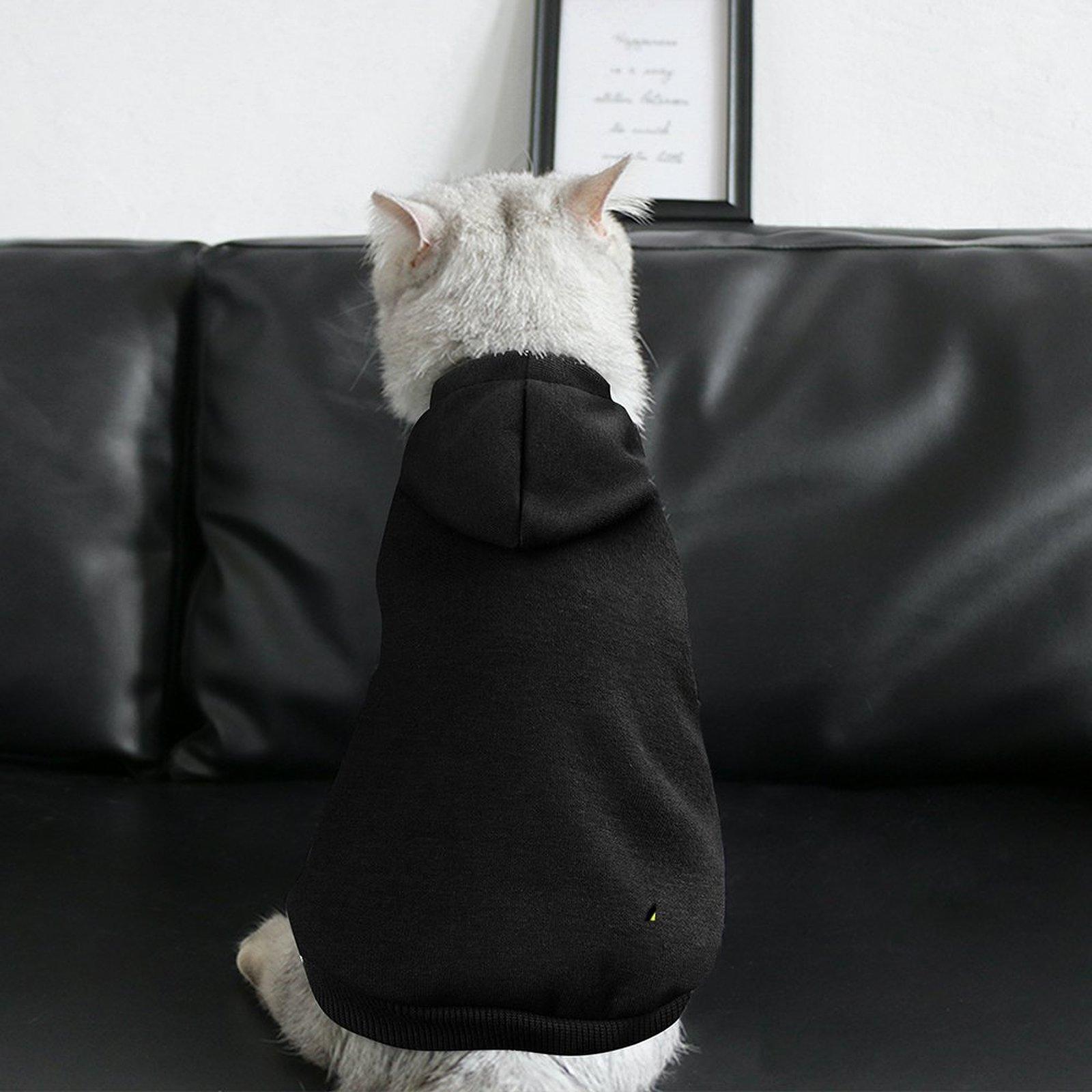 Stylist Cat Hoodie Breathable Soft Casual Pet Hoodie Customized Anime Terylene health cloth Cool Design Wear
