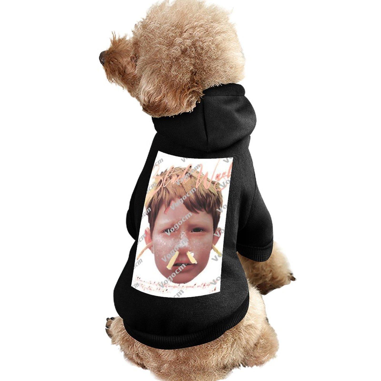 Wholesale Dog Hooded Sweatshirt Hooded Breathable Spring and Autumn Cat Hoodie Patterns Fine Fabrics Brand Clothings