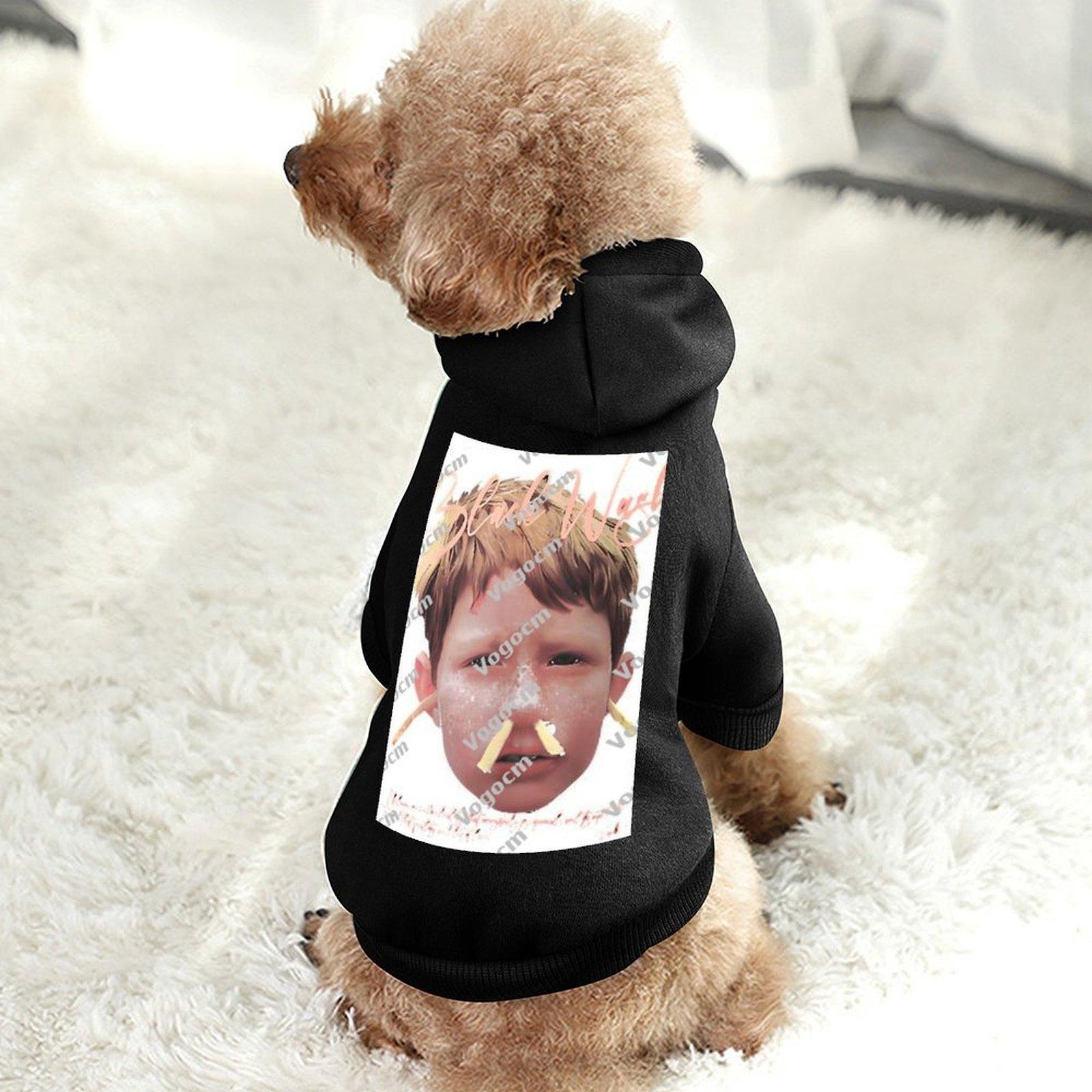 Wholesale Dog Hooded Sweatshirt Hooded Breathable Spring and Autumn Cat Hoodie Patterns Fine Fabrics Brand Clothings