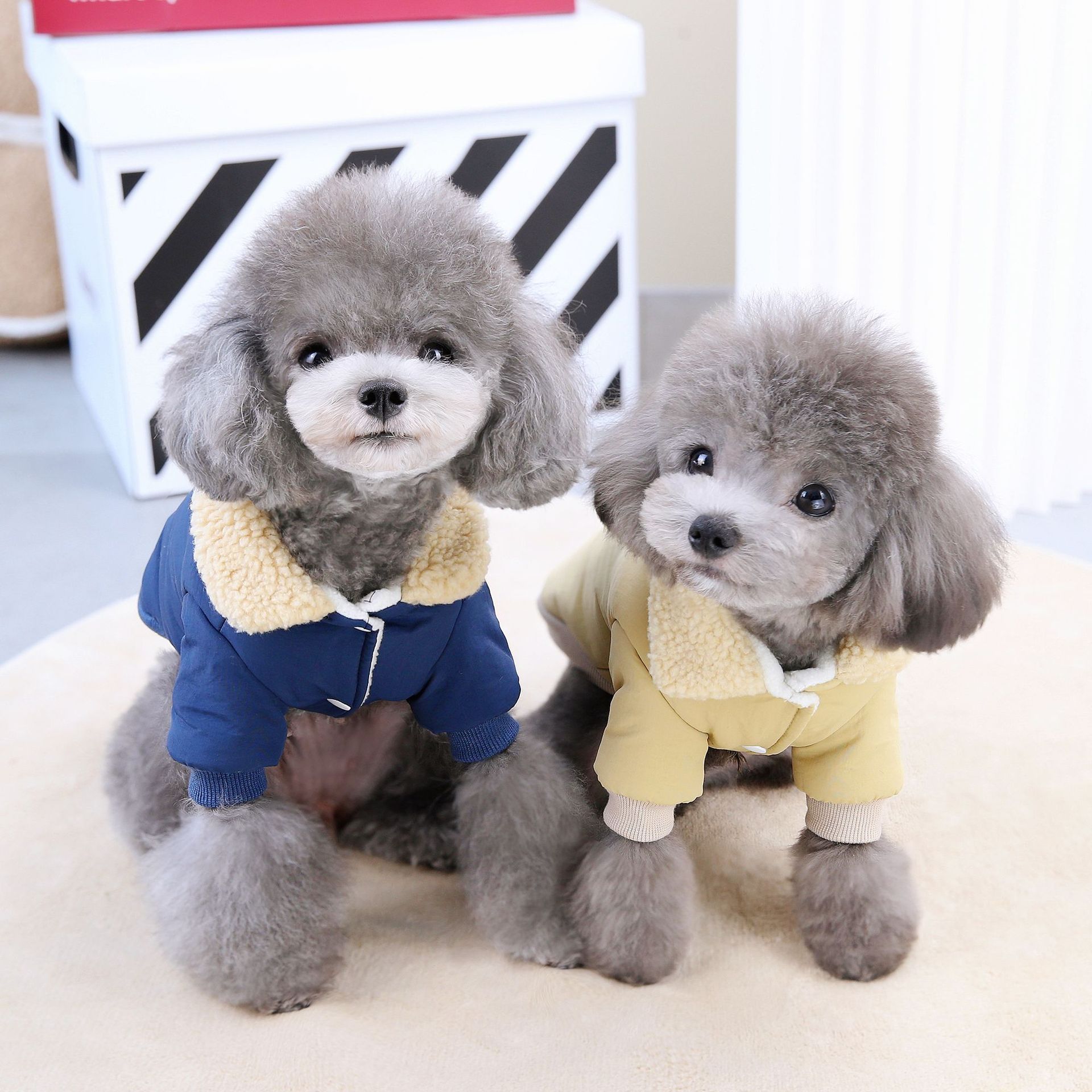 Trendy Design Winter Dog Coat Warm Fleece Dog Down Jacket with Traction Hook Dog Walking Clothes