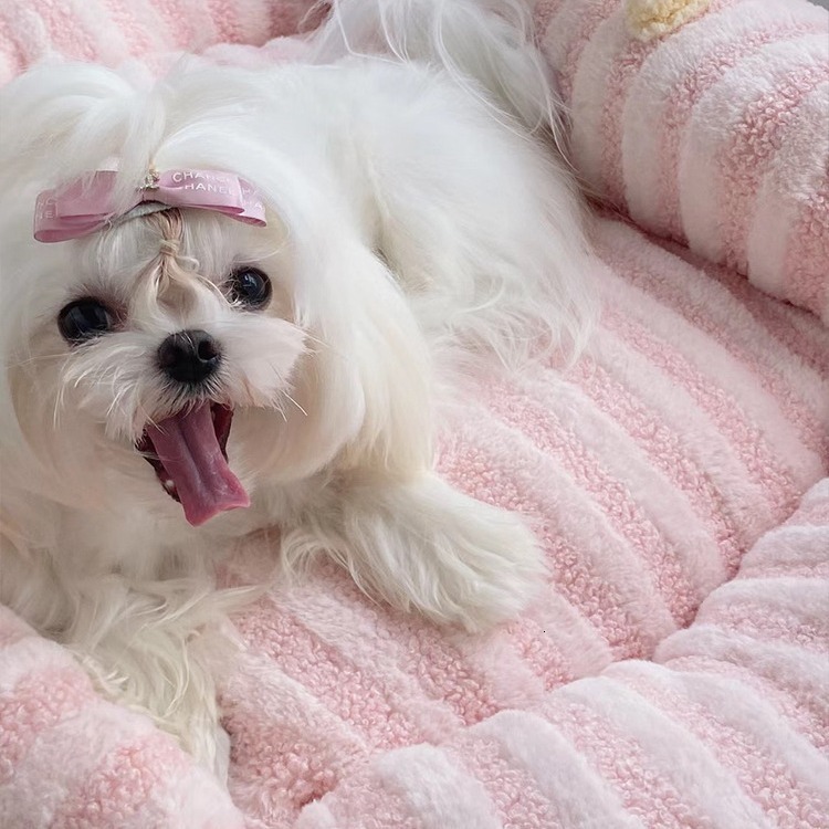 Marzis Exclusive Dog Bed, Lazy Sofa,Dog Bed Internet Celebrity Pet Sleeping Mat, Winter Warmth, Princess Style Dog Bed, Small Dog 335