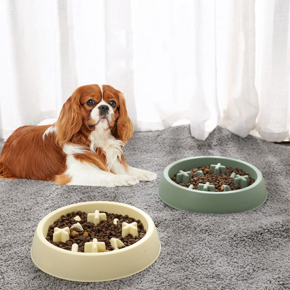 Multi-use Plastic Cat Slow Food Bowl Anti Choking Portable Pet Feeding Basin Round Anti Tipping Dog Feeder Water