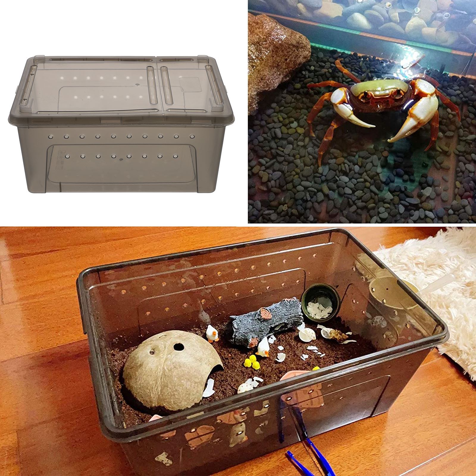 1pc Pet Reptile Feeding Box Reptile Terrarium Breeding Box With Feeder Aquarium Turtles Water Fish Tank Guppy Breeding Tub