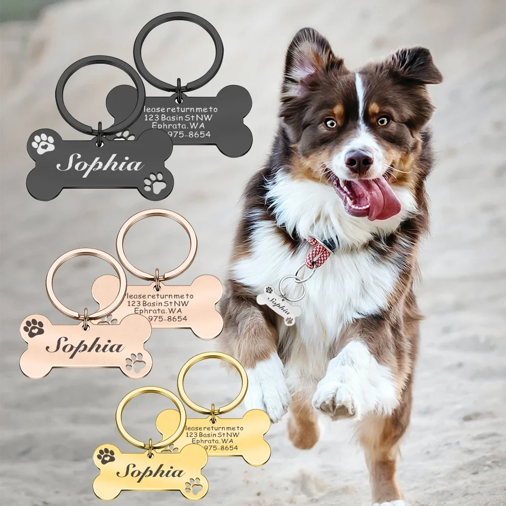 Personalized Dog Collar Address ID Tags for Dogs Medal with Engraving Name Customizable Kitten Puppy Accessories Necklace Chain