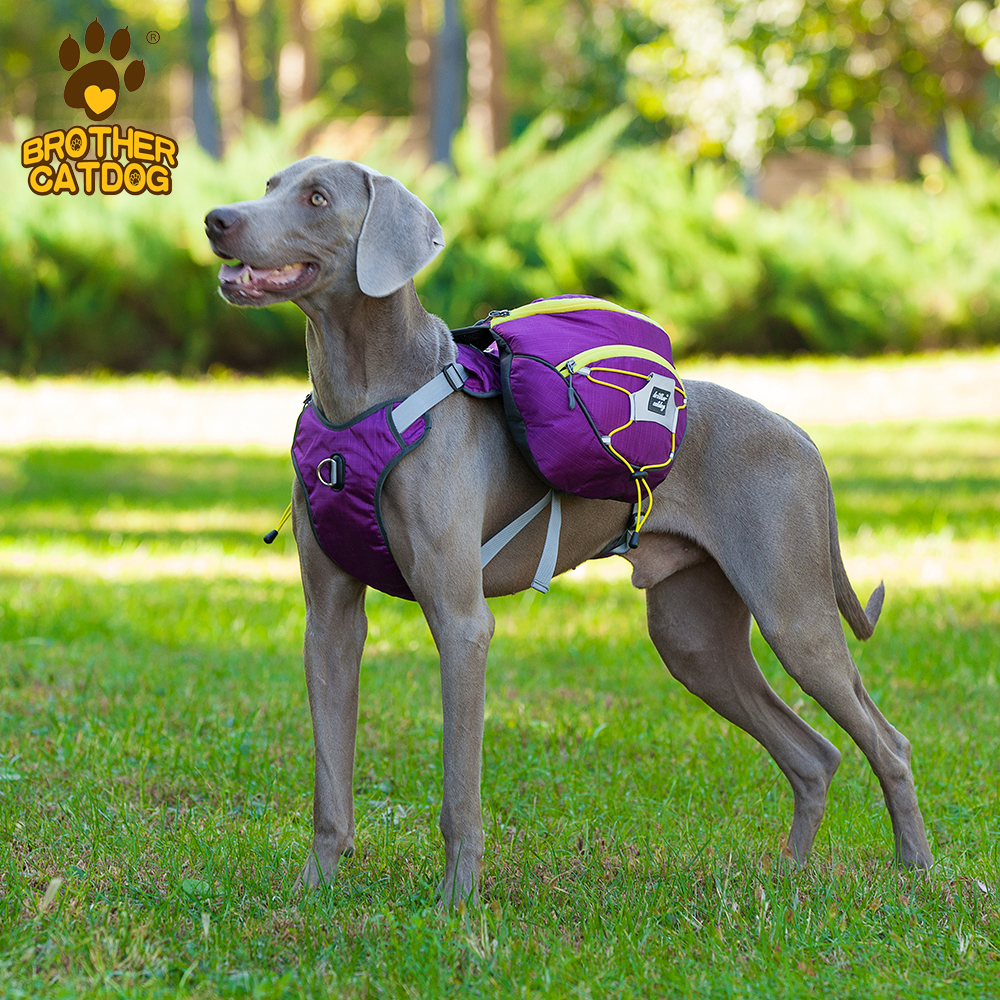Pet Dog Saddle Bags Pack Large Dogs Harness Breathable Hound Travel Camping Hiking Carrier with Backpack Removable