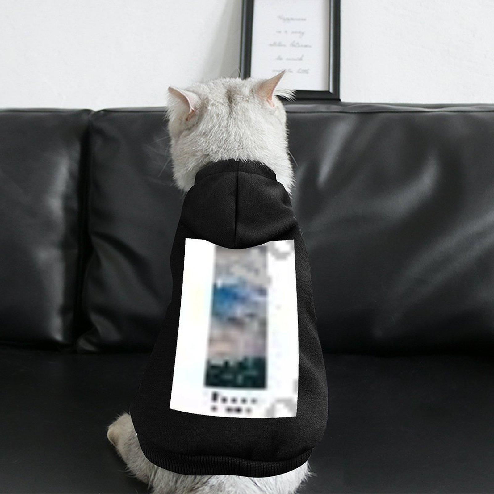 Designer Fashion Cat Hoodie Soft Hoodie Home Hoodie for Pet Customized Printing Anti-linting Wholesale Pullover Hoodie
