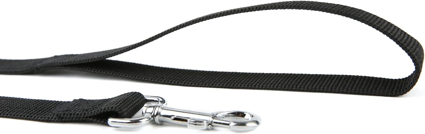 Nylon Dog Training Leash, Traction Rope, 4Ft /5 Foot /6 Feet Long, 5/8 inch 3/4 1 Inch Wide, for Small and Medium Dogs (Orange, 1'' x 20 FT