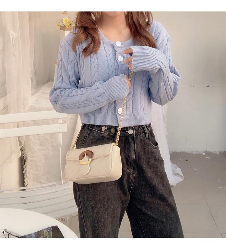 High End Horseshoe Buckle Fashion Designer Small Fragrance Light Luxury Handbag Shoulder Bag Niche Embroidered Thread Chain Crossbody Bag