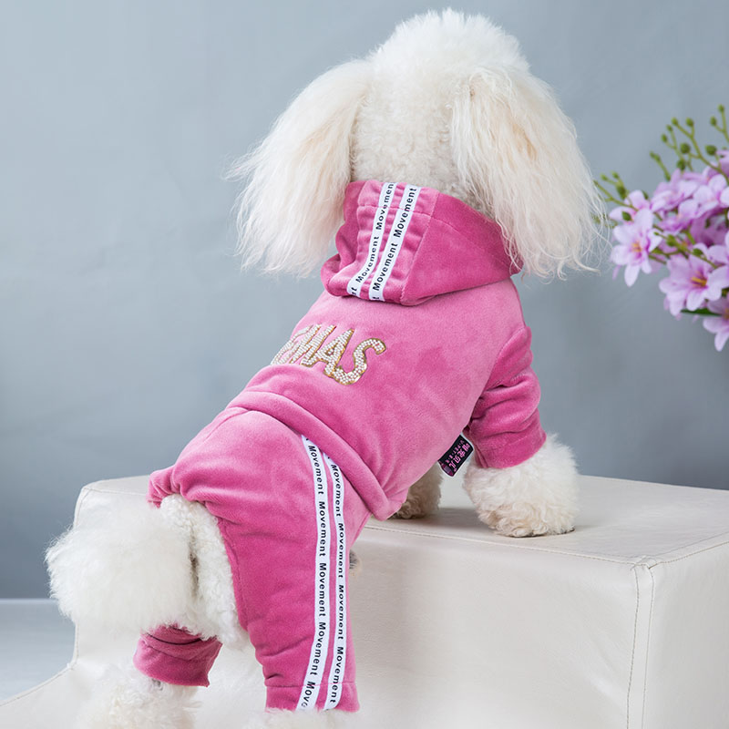 Dog Clothes for Small Dogs Cat Warm Winter Pet Clothing Soft Velvet Overalls Puppy Girl Hoodies Jumpsuit Sweatshirt Chihuahua