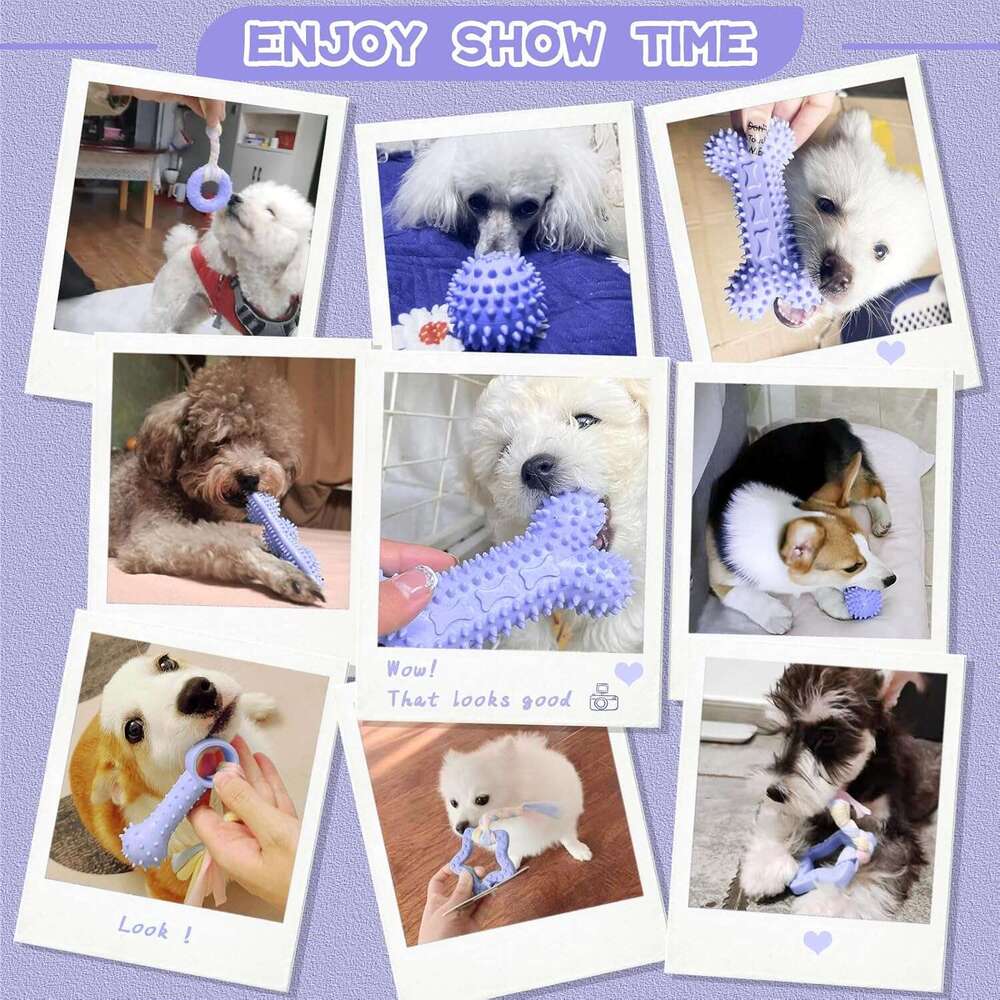 Petcare 6 Pack Cute Purple Chew Toys for Puppies 0-6 Months, Soft Rubber Rope Dog Teething Best Small Toys, Puppy Essentials Supplies