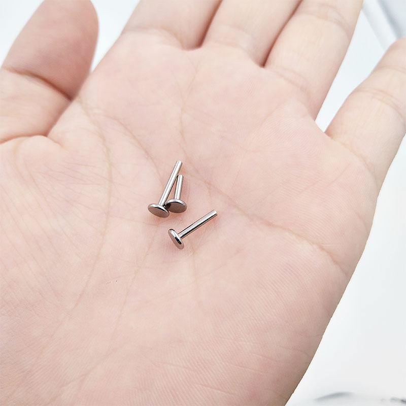 10Pcs G23 Titanium Stud Earring Lip Labret Piercing Post 14G 16G 18G Internally Threaded Daith Tragus Dimple Rings Helix Accessories