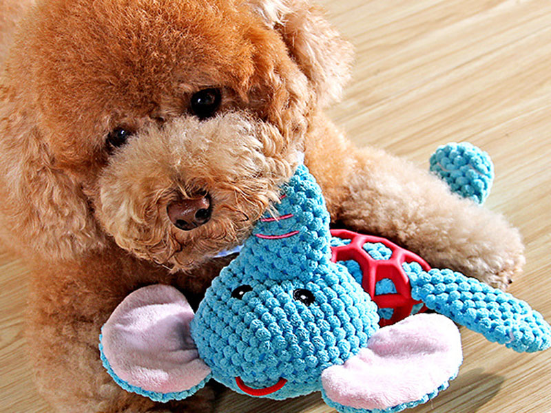 Squeaky Plush Dog Chew Toy for Small Medium Dogs Puppy Large Breed Cute Animal Plush Toy for Indoor Play Tough Durable Teething Interactive Gift