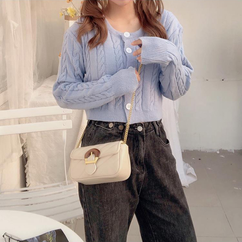 High End Horseshoe Buckle Fashion Designer Small Fragrance Light Luxury Handbag Shoulder Bag Niche Embroidered Thread Chain Crossbody Bag