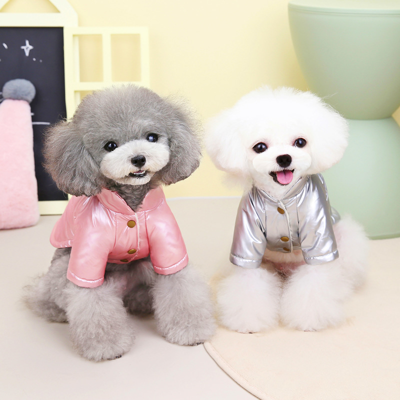 Popular Dog Apparel Blank Coat Winter Two Leg Clothes Waterproof Dog Down Jacket in Good Quality
