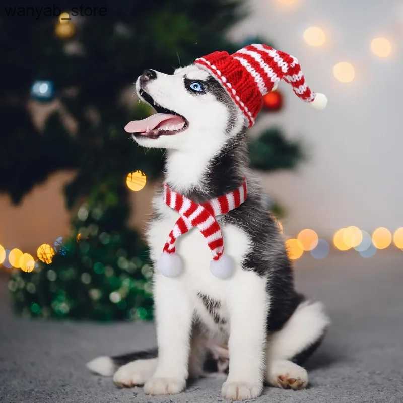 Wide Brim Hats Bucket Hats 8pcs Mini Christmas Hat Scarf Set Christmas Tree Ornaments Santa Hat Scarf Cup Bottle Xmas Doll Crafts DIY Craft Art Decora
