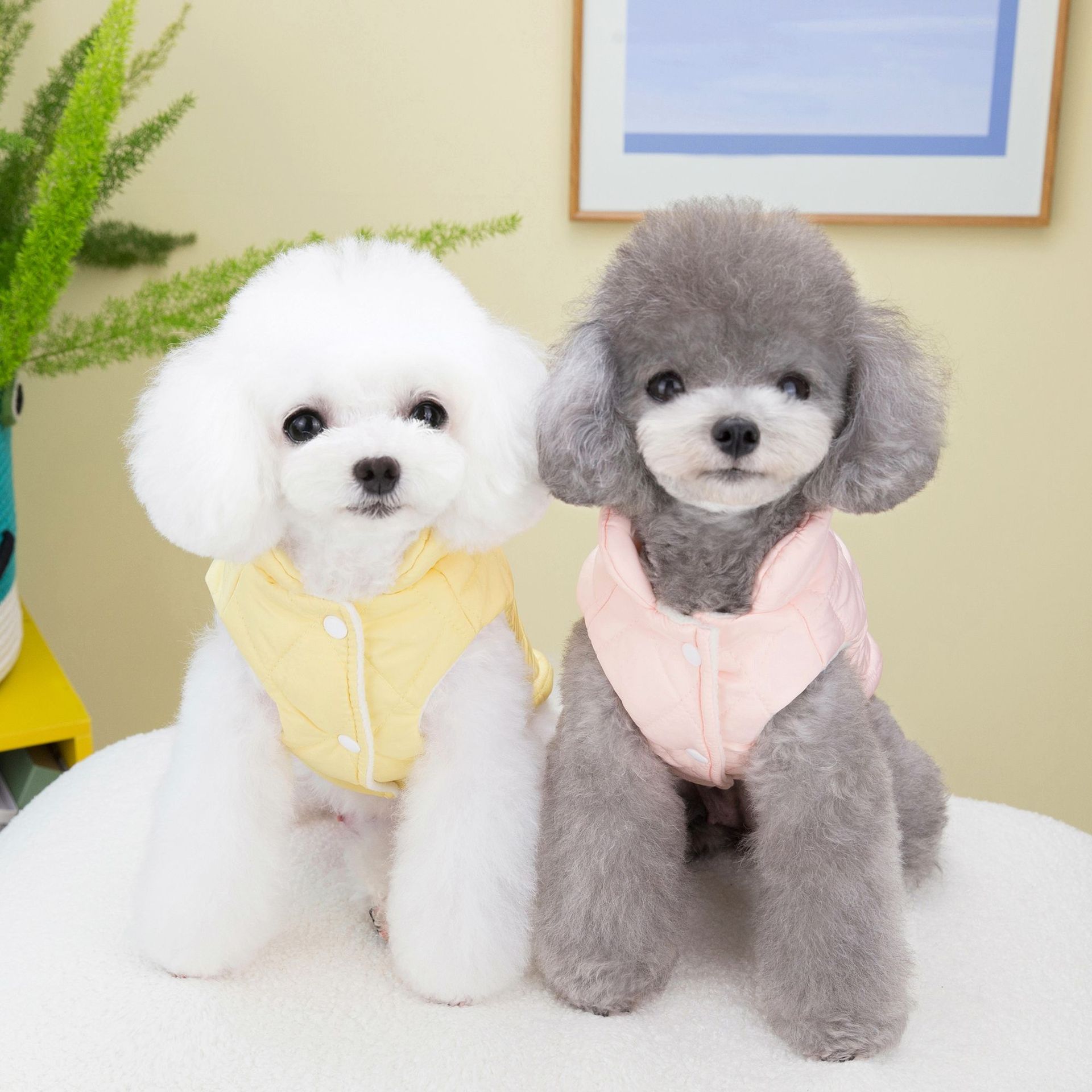 Happy Bear Dog Winter Coat Vest Fleece Lined New Teddy Kitty Dog Clothes Heavy Warm Cartoon Pet Clothes