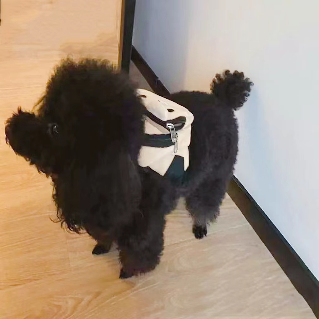 Teddy Dog Snack Pack - Stay Prepared for Outdoor Adventures with this Adorable Pet Backpack!