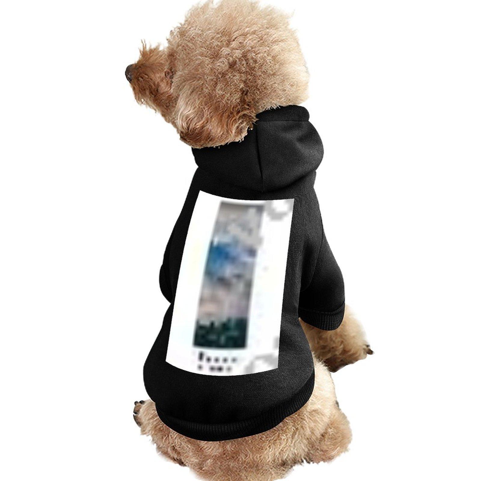Designer Fashion Cat Hoodie Soft Hoodie Home Hoodie for Pet Customized Printing Anti-linting Wholesale Pullover Hoodie