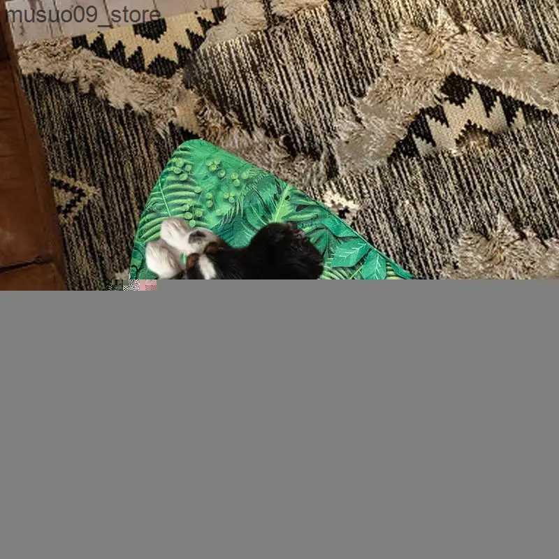 kennels pens Outdoor cat bed anti-skid pet mat foldable pet mat pet supplies indoor Flat noodles box bed dog cat L240910