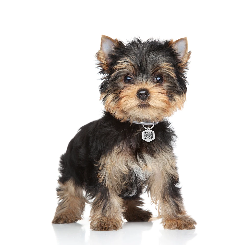 Customized Pets Dog Collar QR Code Tags Personalized Contact Number and Code for Puppy Kitten Collar Anti-lost Pet Dog Nameplate