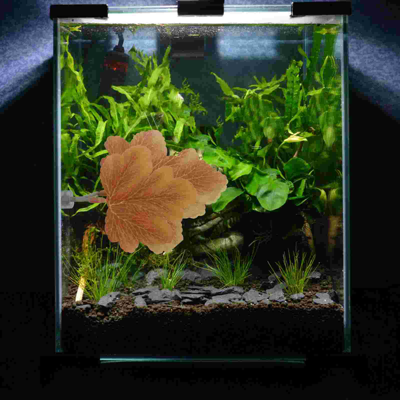 Betta Resting Leaves Aquarium Breeding Leaf Hammock Fish Bowl Aquatic Plants Bed Tank Spawning Decor Plastic