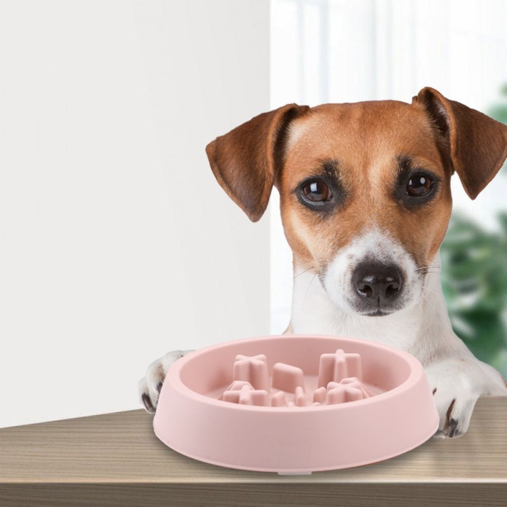 Multi-use Plastic Cat Slow Food Bowl Anti Choking Portable Pet Feeding Basin Round Anti Tipping Dog Feeder Water