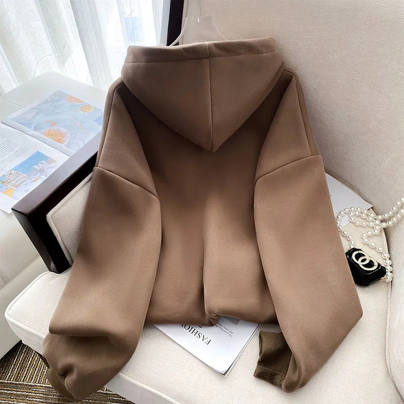 New autumn and winter women's velvet thick texture hooded sweatshirt embroidered with European style and high-end fashion trend designer trendy T