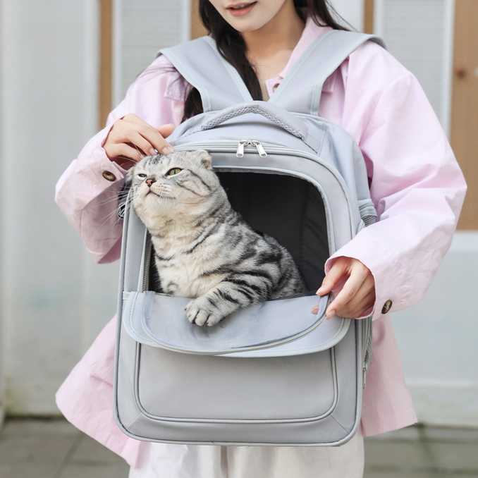Cat bag large capacity breathable travel pet backpack portable side opening large space pet bag 241115