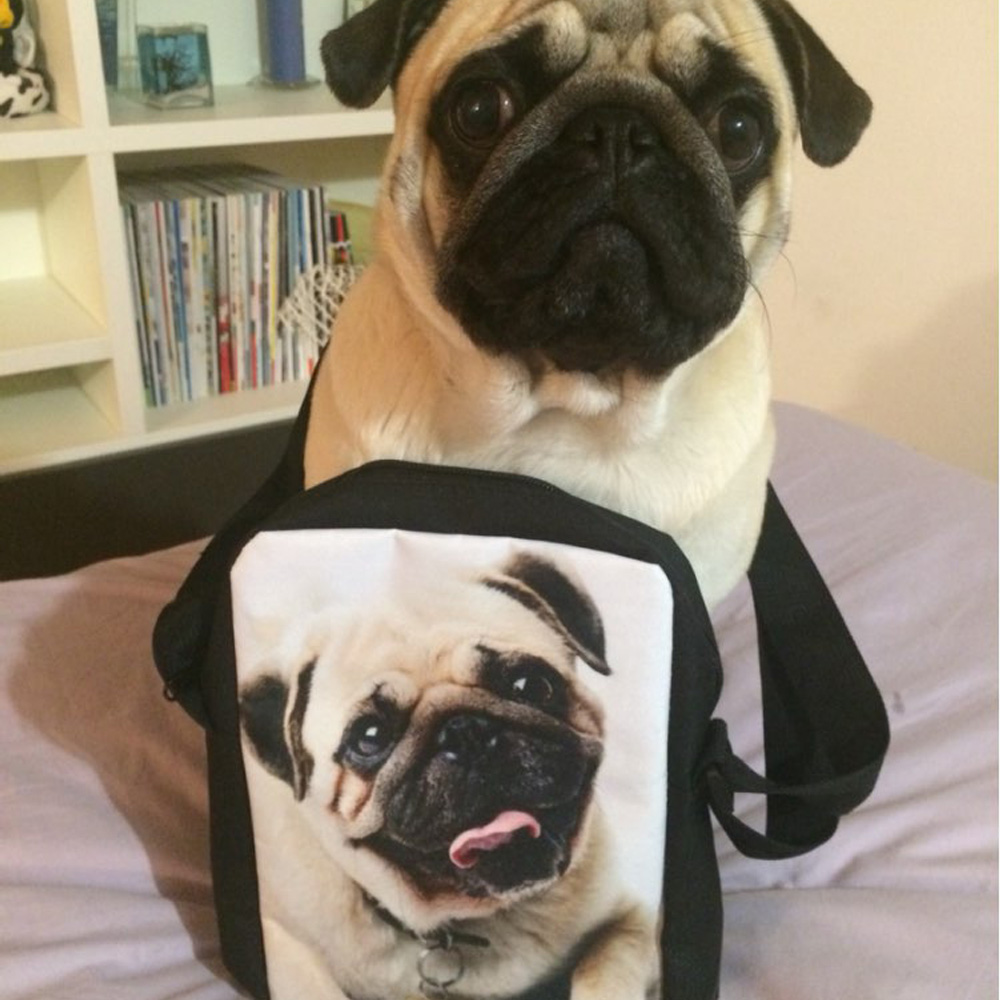 Women Mini Cross-body Bags for Girls Boys Cute 3D French Bulldog Print Ladies Messenger Bags Travel Shoulder Handbag