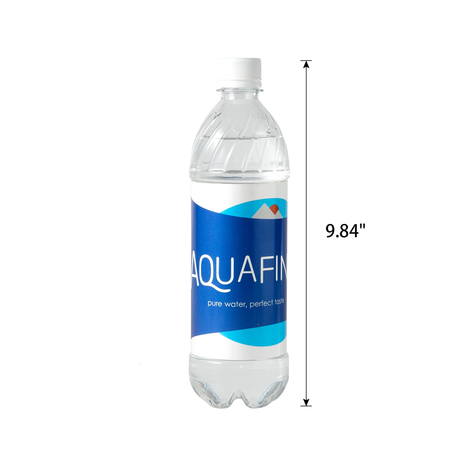 Aquafina Water Bottle Diversion Safe Can Stash Hidden Security Container With A Food Grade Smell Proof Bag 241107