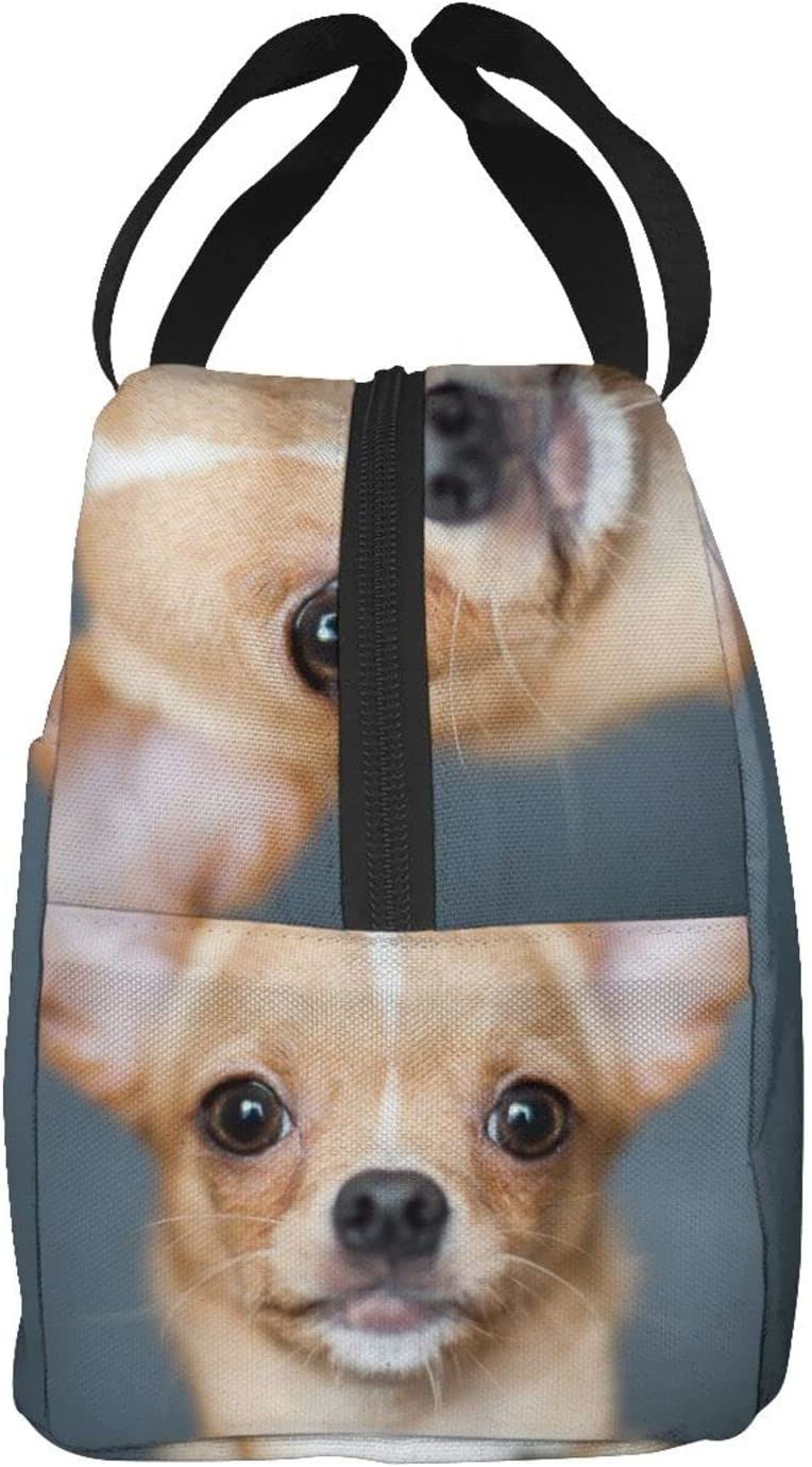 Reusable Insulated Lunch Bag Cute Chihuahua Portable Insulated Lunch Bax Cooler Tote Box For Women Men Adults College Work