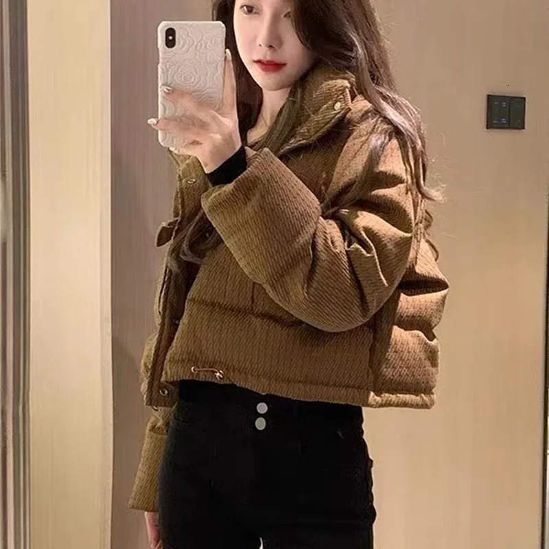 Winter Warm Brown Crop Parka Jacket Womens Fashion Korean Solid Chic Thick Inflatable Jacket Loose Street Clothing Full Match Jacket 241107