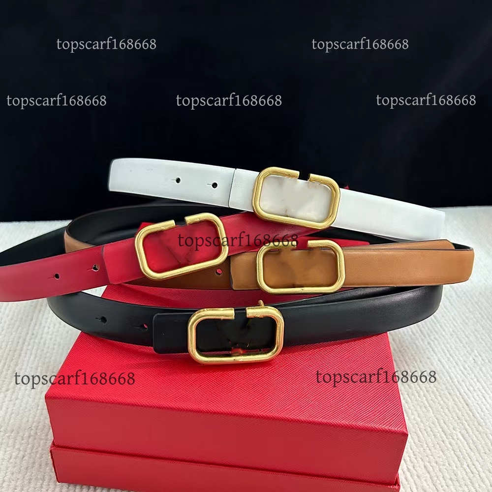 Designer Belt Luxury Brand Belt Women's Belt Designer Solid Color letters High quality design commercial belt leather