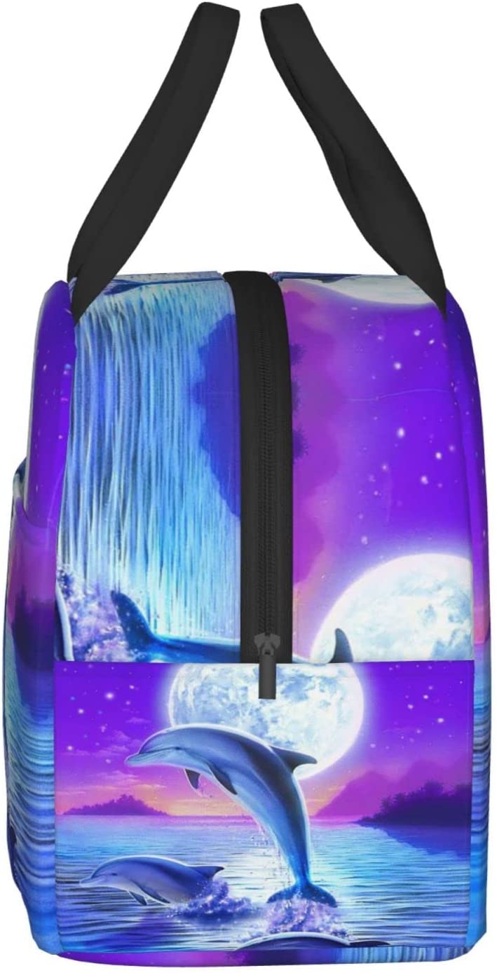 Dolphin Lunch Box for Kids Boys Girls Reusable Lunch Tote Bags, Perfect for School/Camping/Hiking/Picnic/Beach/Travel