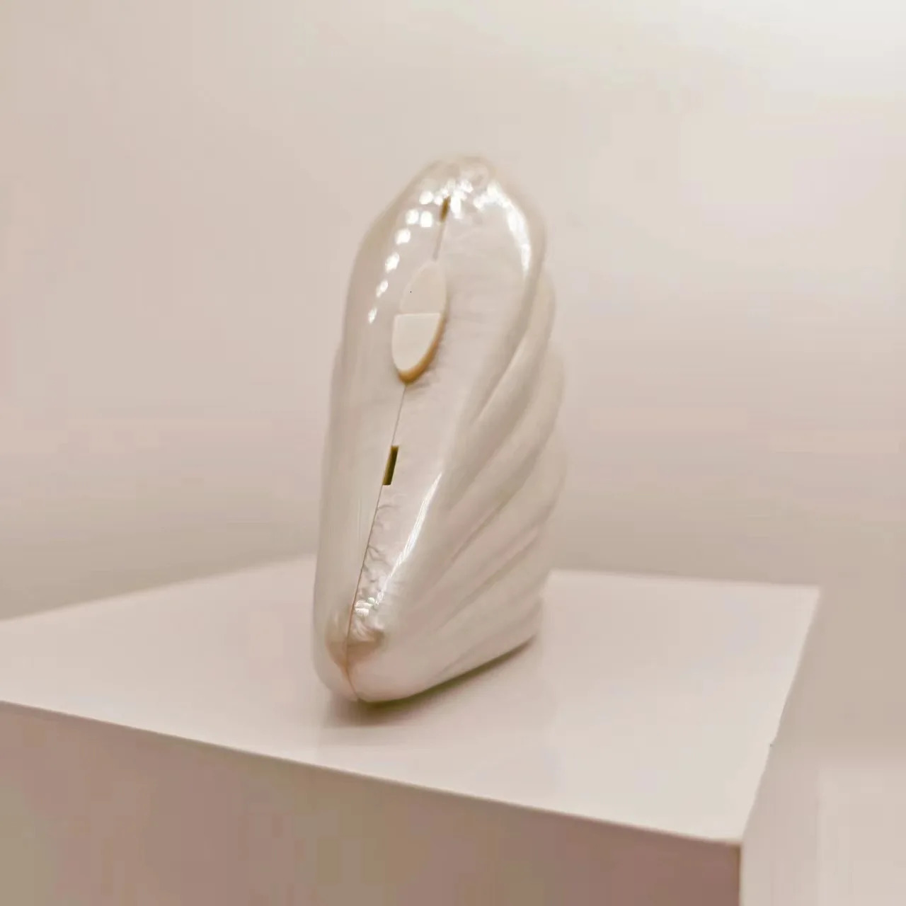 Acrylic Box Clutch Shell Pearl Night Party Girl Party Handbag and Wallet Beach Wedding Gift Bag Ins Pvc Wallet 241107