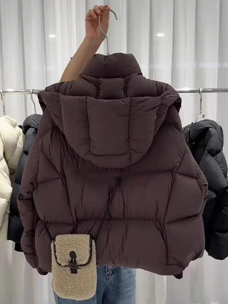 Womens Brown Jacket Parkas Warm Thick Long Sleeve Paddle Coat Fashion Turtle Neck Coat 2000s Winter Clothing 241107