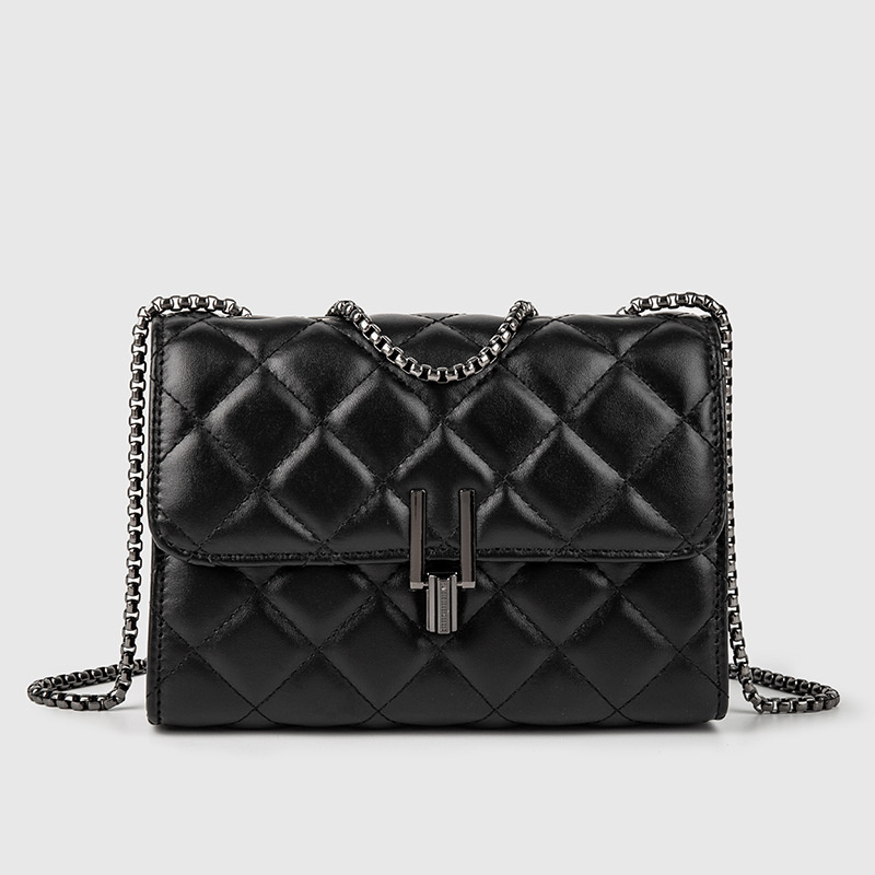 Women's Bag 2024 New Trend Chain Fashion Messenger Designer Bags Crossbody Shoulder Bag Small Luxury Handbags Wallets For Women