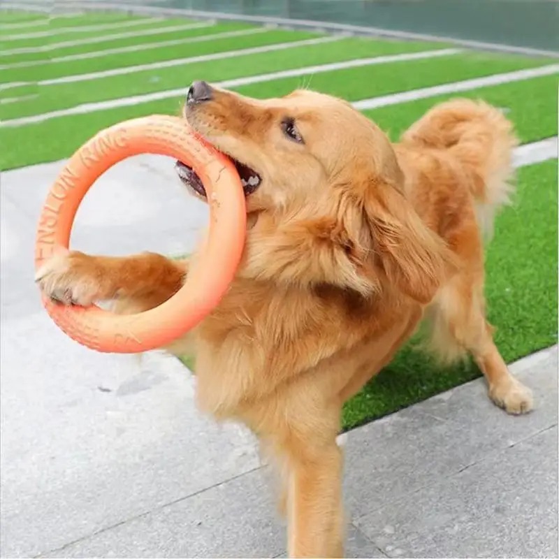 Pet Dog Toys Floating Water Flying Disk Training Interactive Toy Puller Resistant Aggressive Chewing for Small Medium