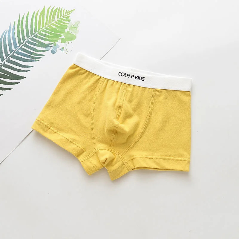 Boys Underwear Children Panties Boys Cotton Boxer Shorts Childrens Panties Kids Underwear For 2-16 years 5 pcs 240329