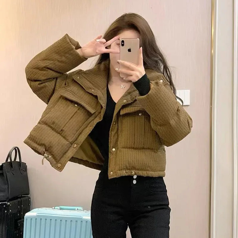 Winter Warm Brown Crop Parka Jacket Womens Fashion Korean Solid Chic Thick Inflatable Jacket Loose Street Clothing Full Match Jacket 241107