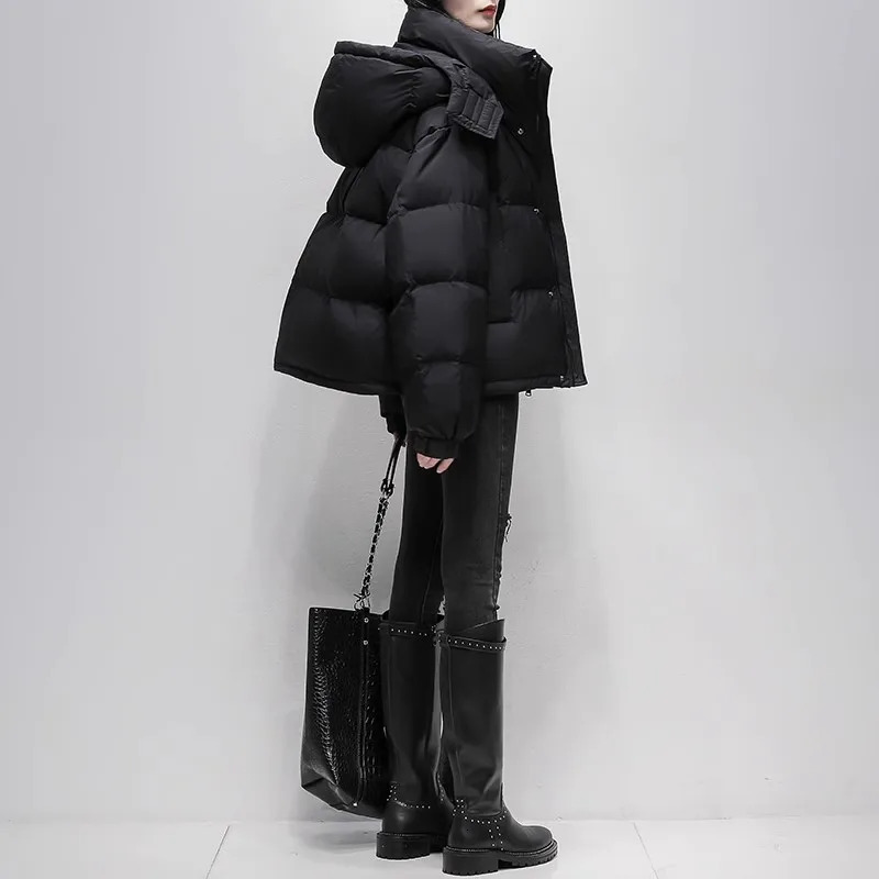 Womens Short Brown Down Jacket Winter 90 White Duck Down Thick Coat Womens Loose Hooded Parka Coat 241107