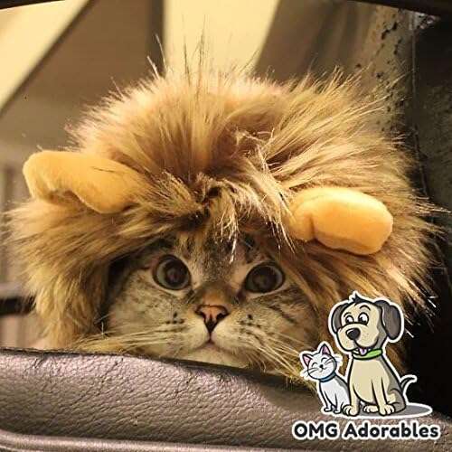 OMG Adorables - Lion Mane Costume for Cats