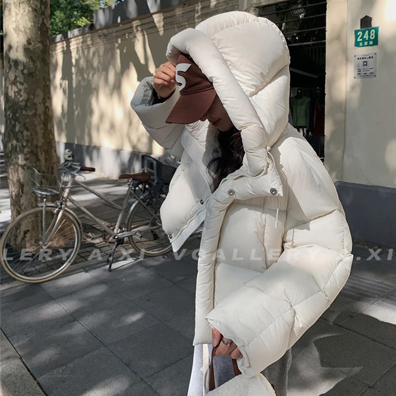 Womens Short Hooded Jacket Winter Coat Korean Fashion Thick Warm Park Loose White Duck Pink Coat 241107
