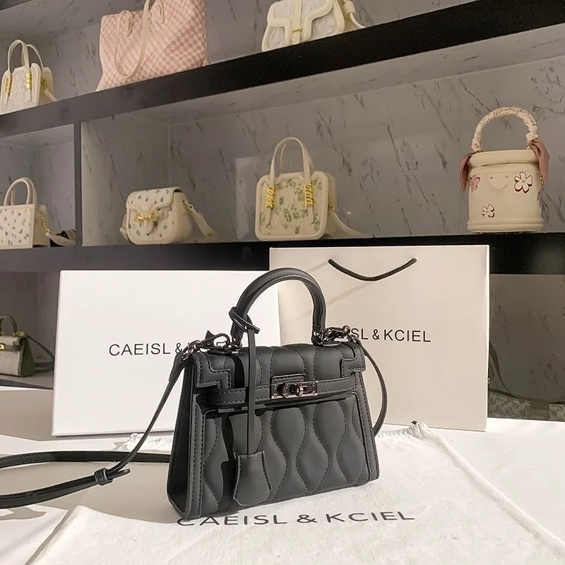 Small niche design fashionable and versatile high-end feel frosted mini Kelly bag women's 2024 new handbag