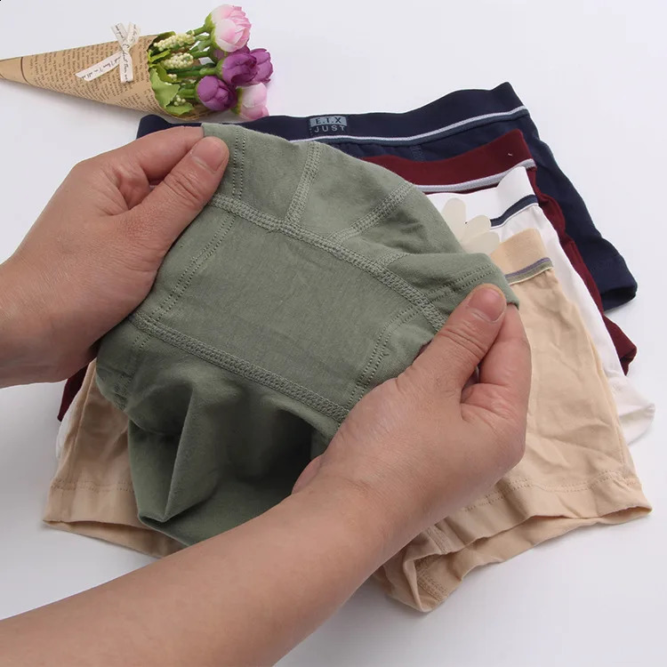 Boys Underwear Children Panties Boys Cotton Boxer Shorts Childrens Panties Kids Underwear For 2-16 years 5 pcs 240329
